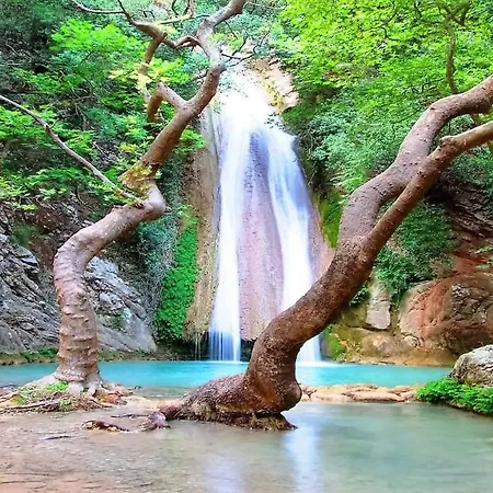 The Garden House * Zaharo