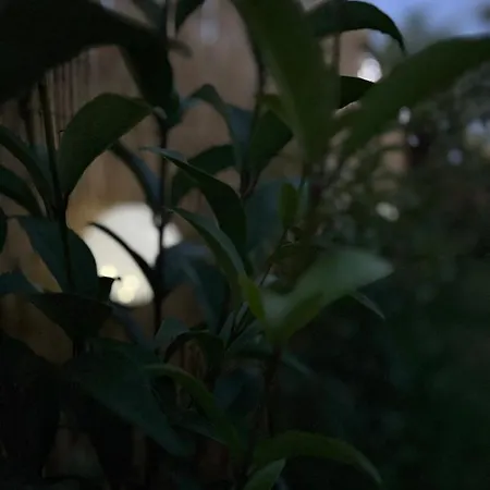 Holiday home The Garden House *