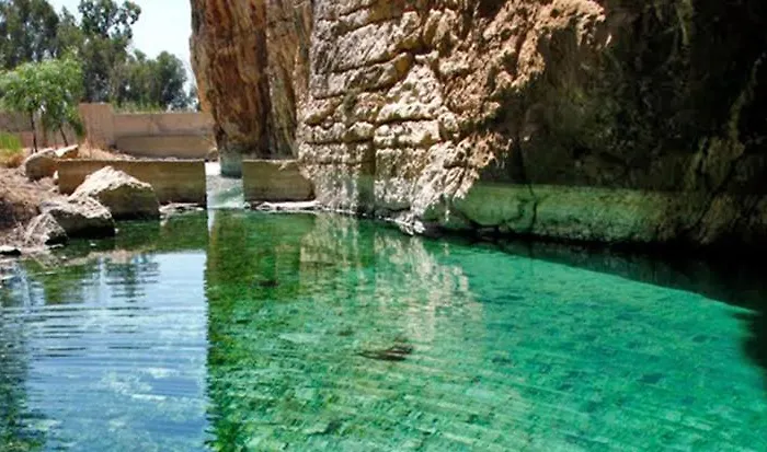 The Garden House Casa vacanze *