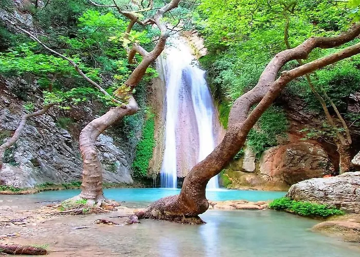 The Garden House * Ζαχάρω