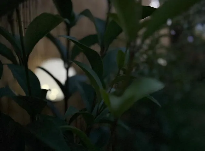 Σπίτι διακοπών The Garden House *